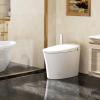 imageSR SUN RISE Smart Toilet  Auto ampamp Foot Sensor OpenClose 12710 GPF Dual Flush 1000g MaP Flush Score BuiltIn Bidet with Adjustable Setting Knobs ampamp Remote Easy to Use ADA Height