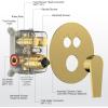 imageSR SUN RISE Shower System 12 inch Multifunction Shower Faucet Set 6 Setting High Pressure Handheld Rain Shower Head Kits Valve Included  Push Button DiverterStainless SteelBrushed GoldBrushed Gold